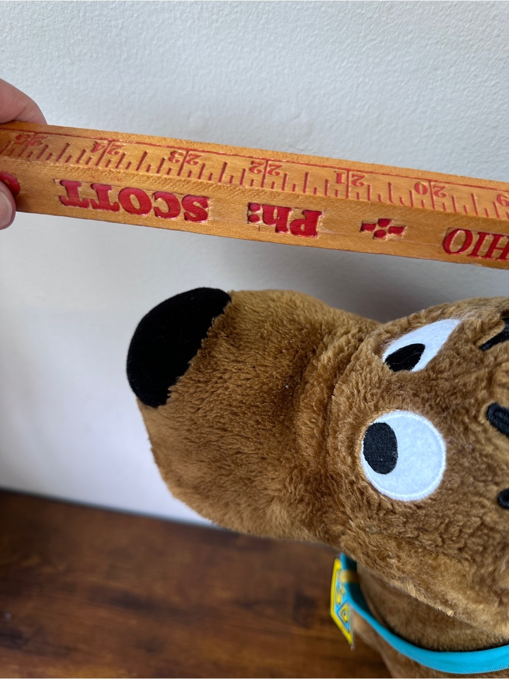 Vintage 1998 Cartoon Network Talking Scooby Doo Plush Stuffed Animal Toy 15" - Picture 15 of 15